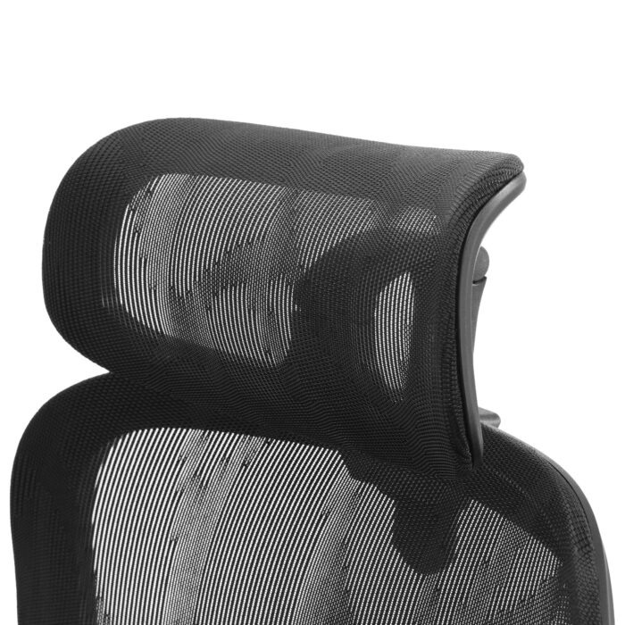 conception innovante M56B