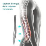 Confort ceinture lombaire