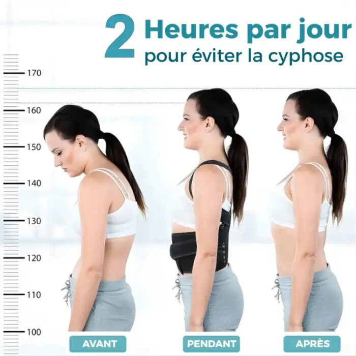 alignement vertébral