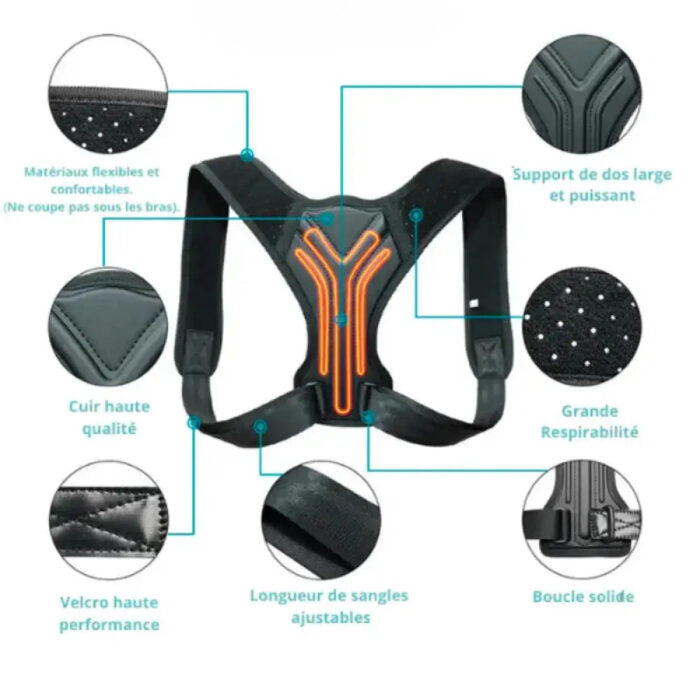 support dorsal confortable