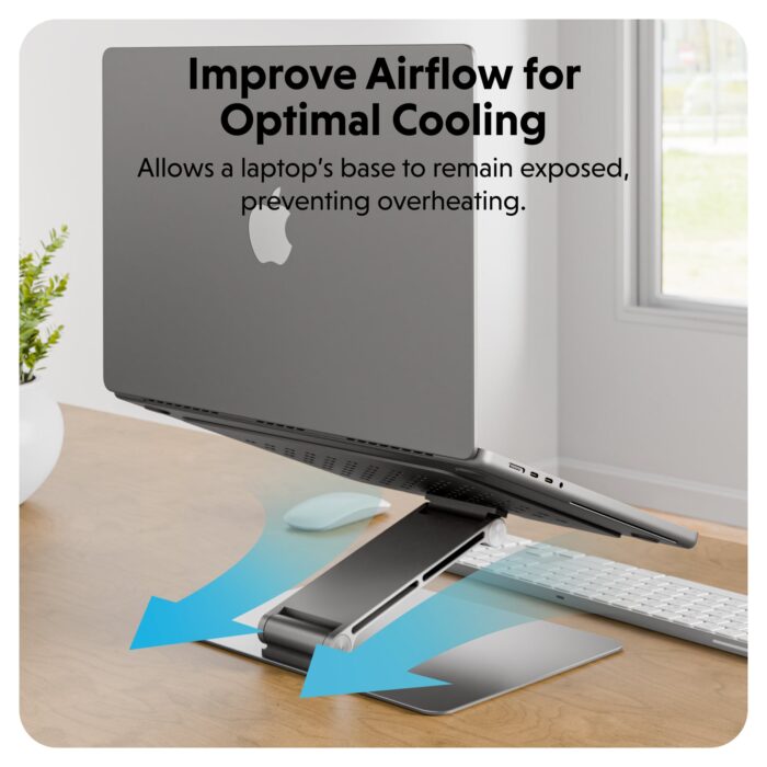 Sereineo couleur moderne